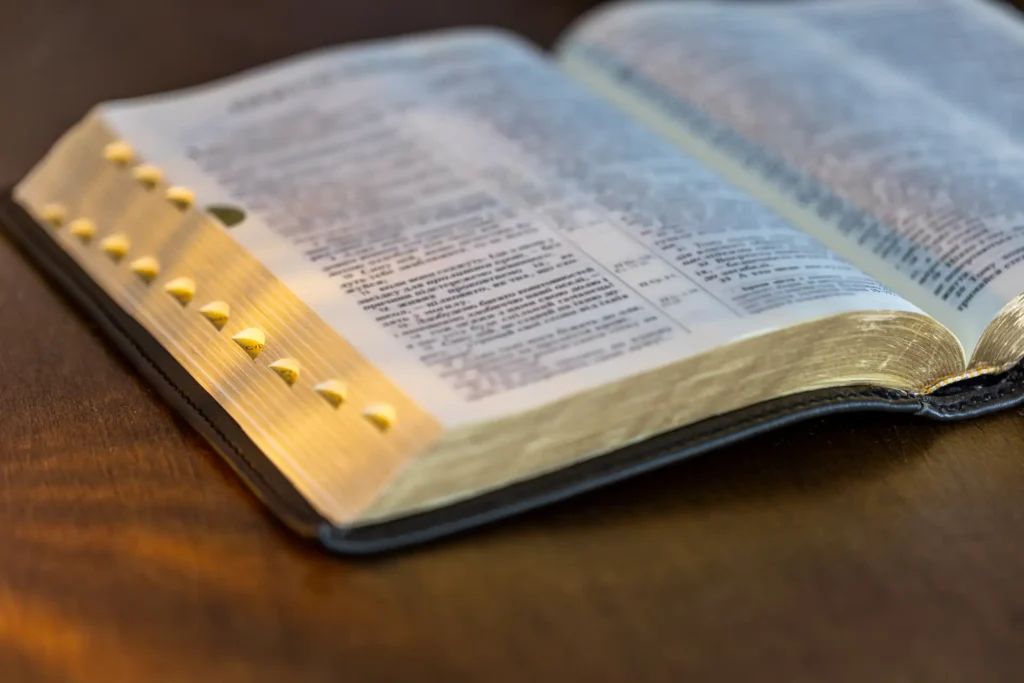 bible-close-up-holy-book-bible-christianity-fai-2026-03-24-01-22-12-utc (1)