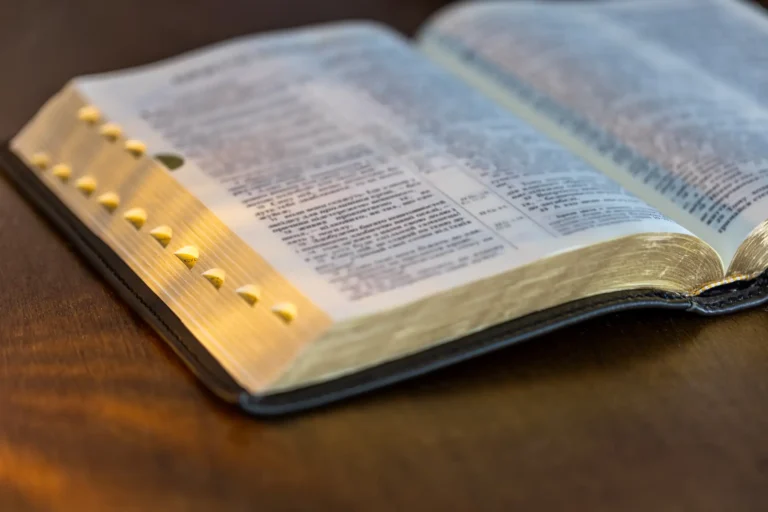 bible-close-up-holy-book-bible-christianity-fai-2026-03-24-01-22-12-utc (1)